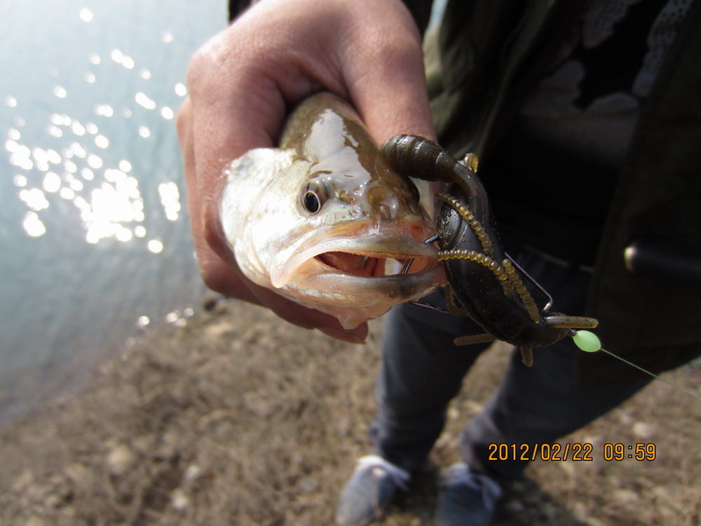 IMG_4150.JPG