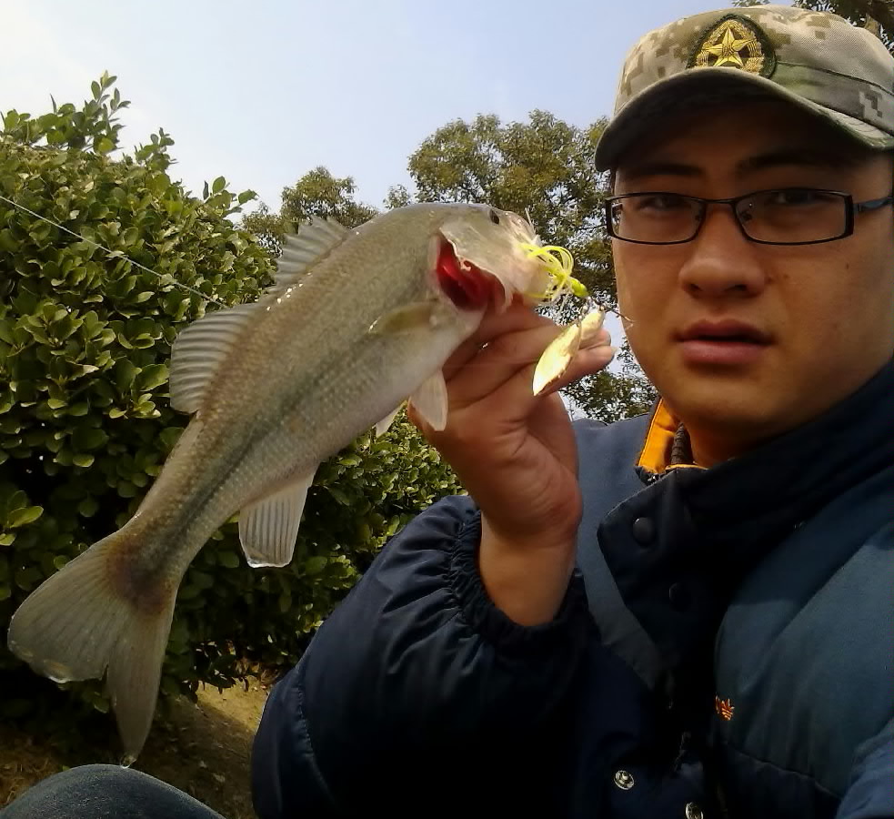 20120312720.jpg