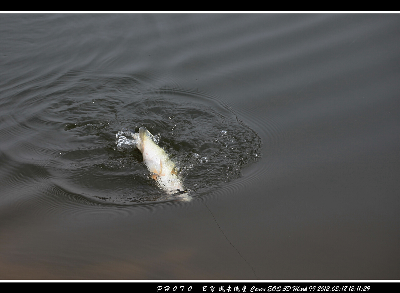 IMG_1760a.jpg
