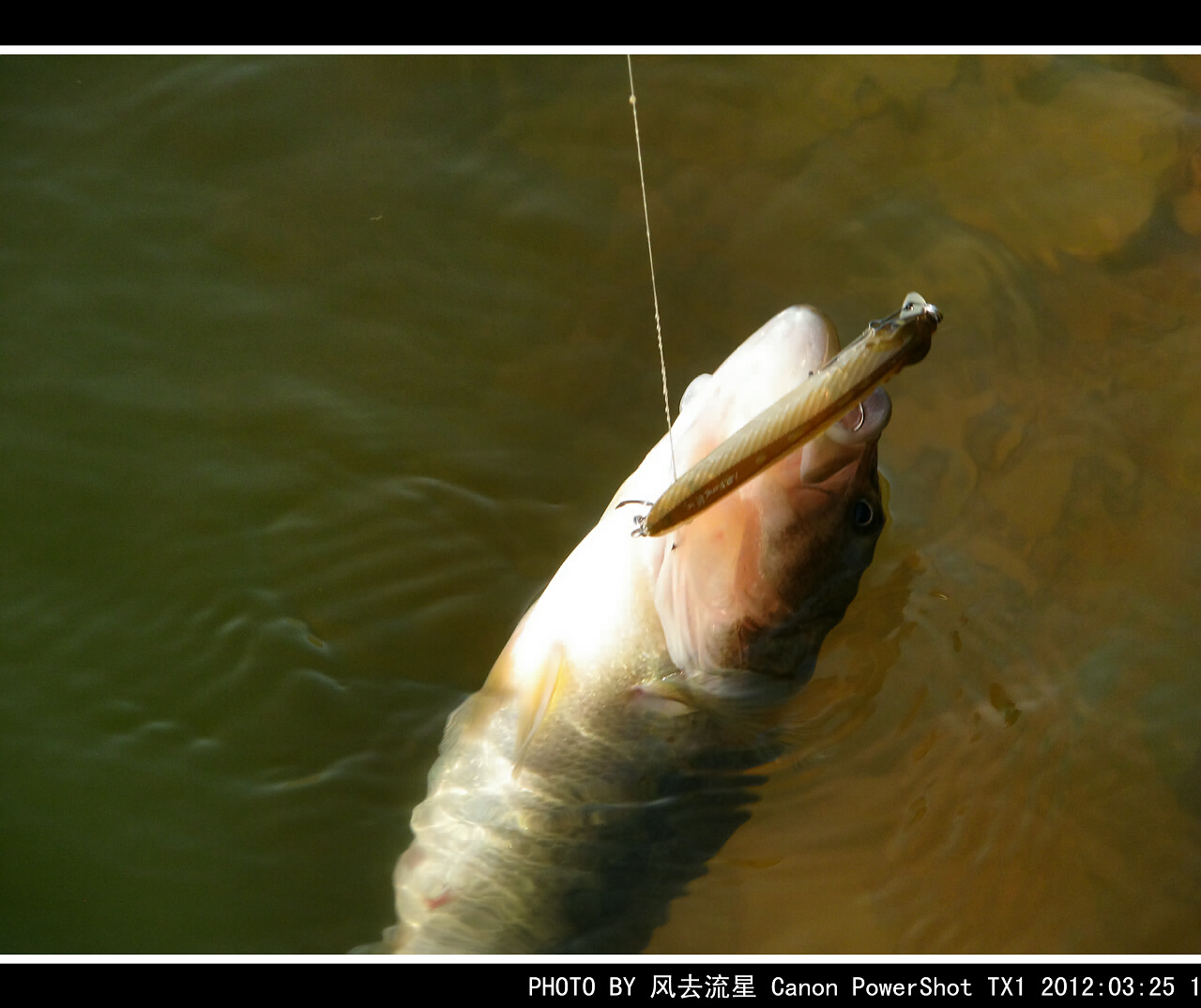 IMG_0666a.jpg