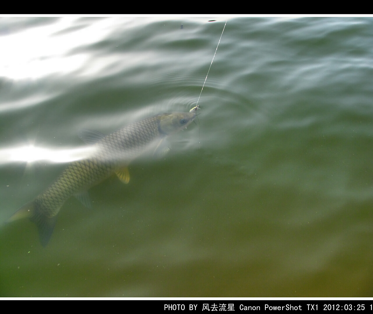 IMG_0662a.jpg