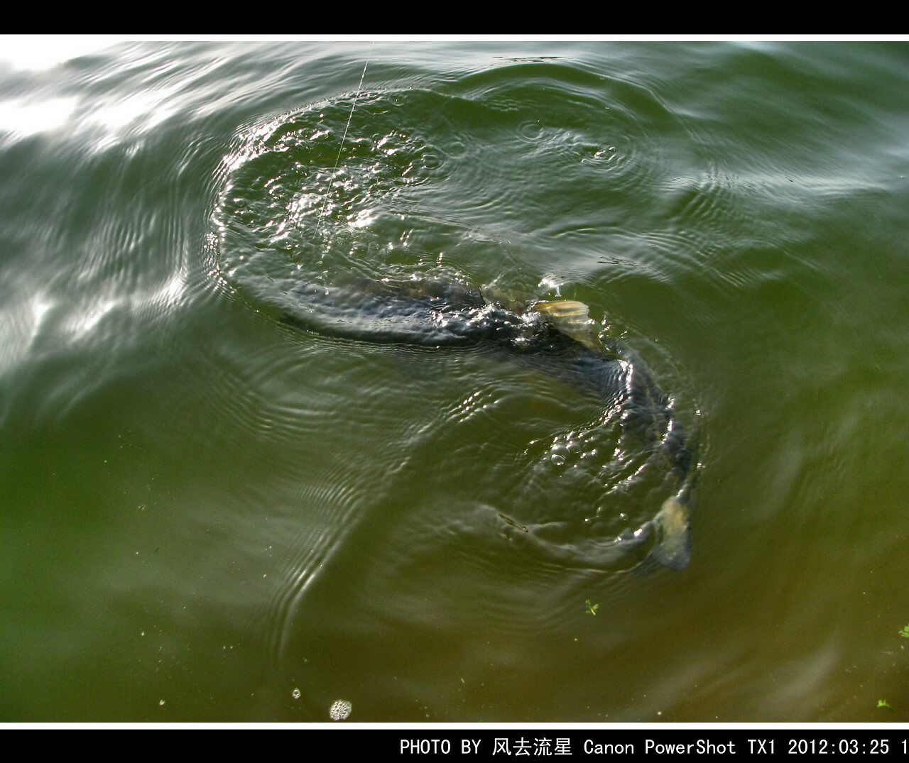 IMG_0658a.jpg