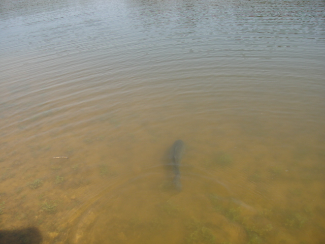 DSC00711.JPG