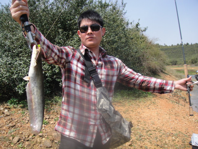 DSC00687.JPG