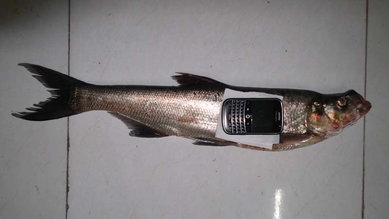 DSCF1143.jpg