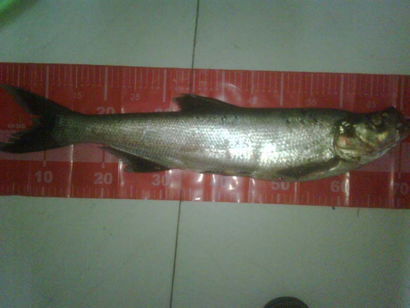IMG00069-20120403-2042.jpg