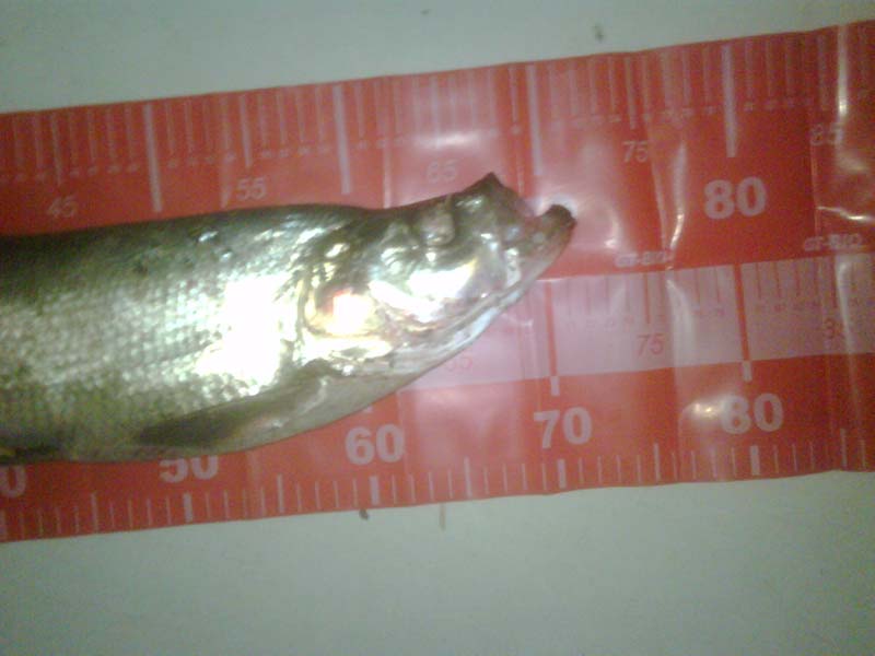 IMG00070-20120403-2042.jpg