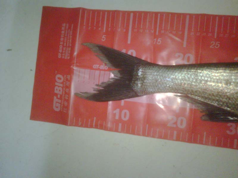 IMG00071-20120403-2042.jpg