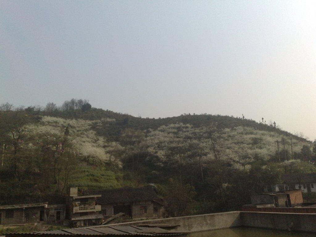 20120402403.jpg
