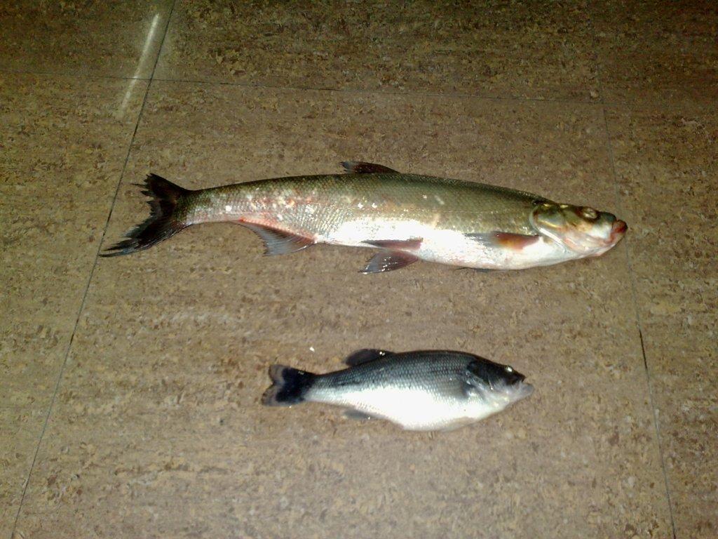 20120401402.jpg