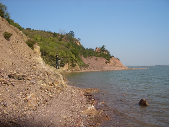 CIMG5364.JPG