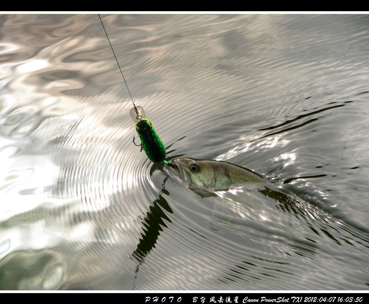 IMG_0832a.jpg