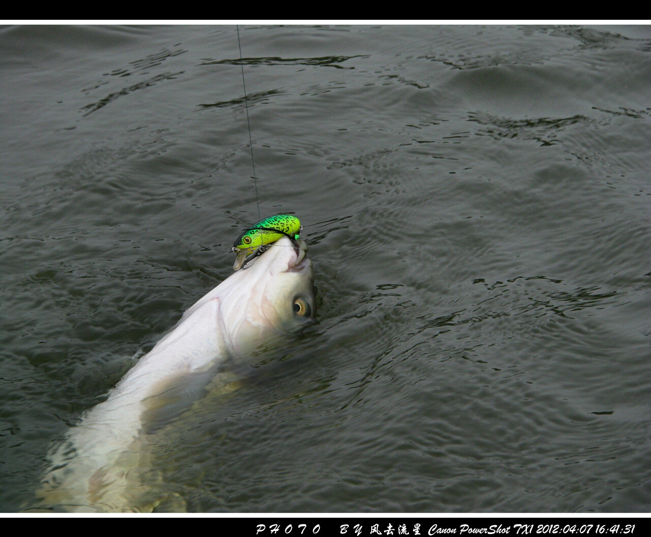 IMG_0846a.jpg