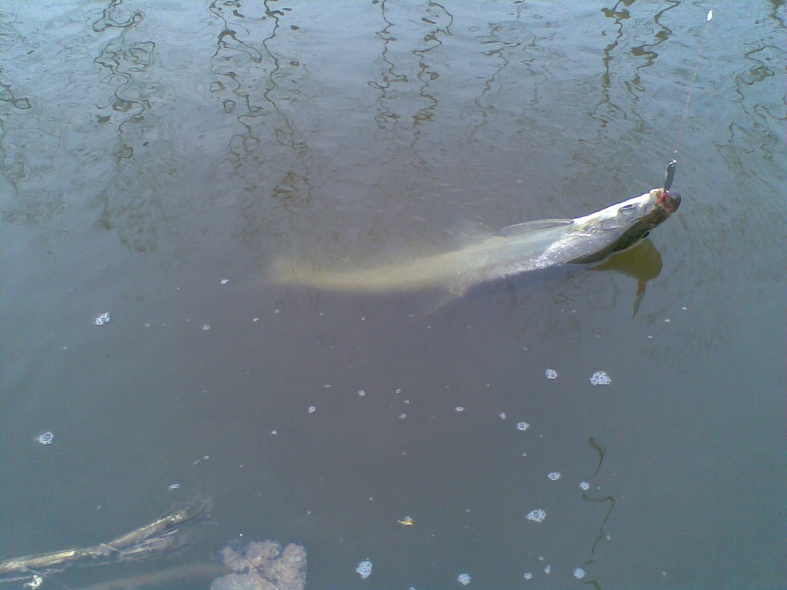 20120408.jpg
