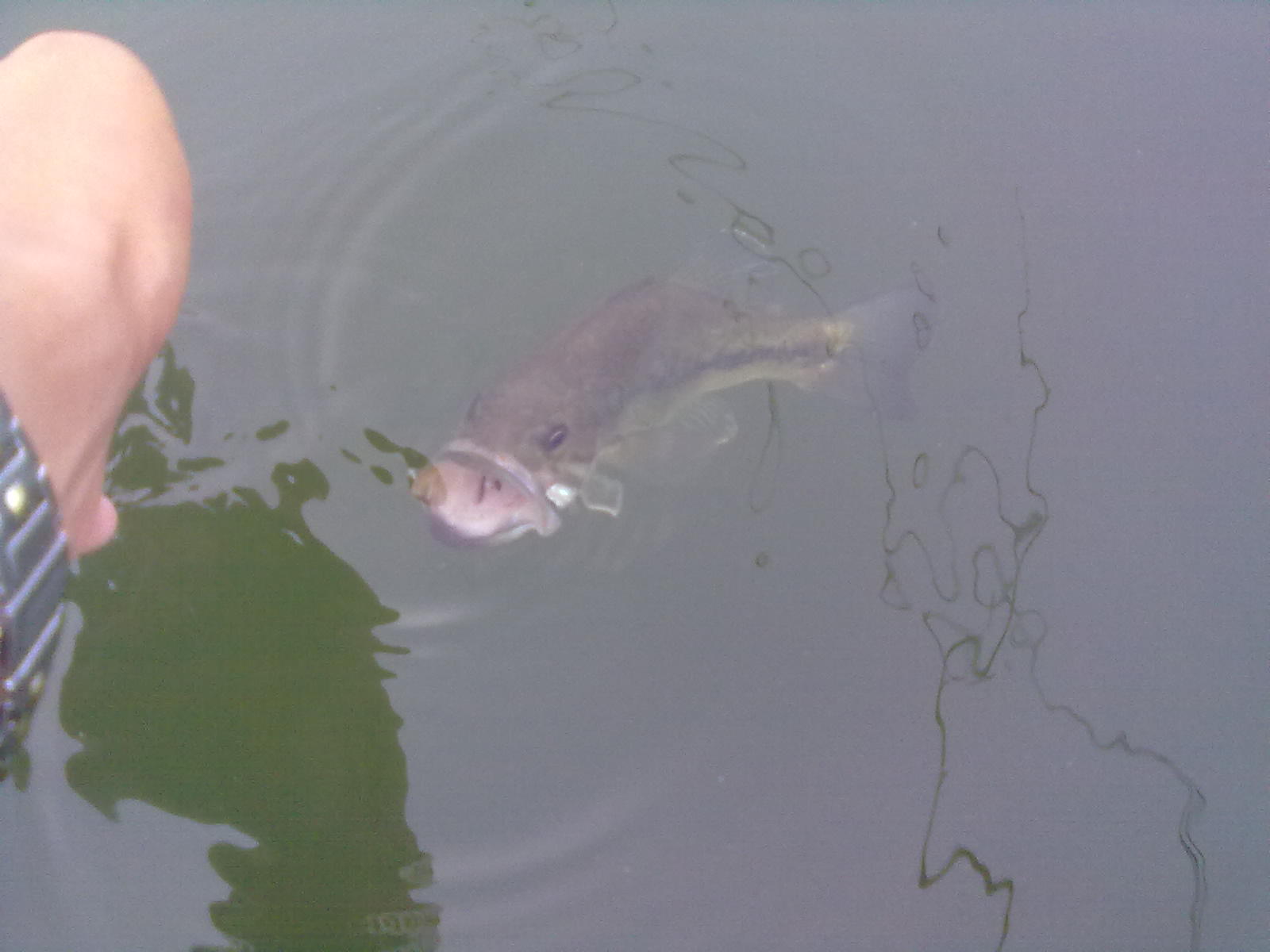 20120412808.jpg