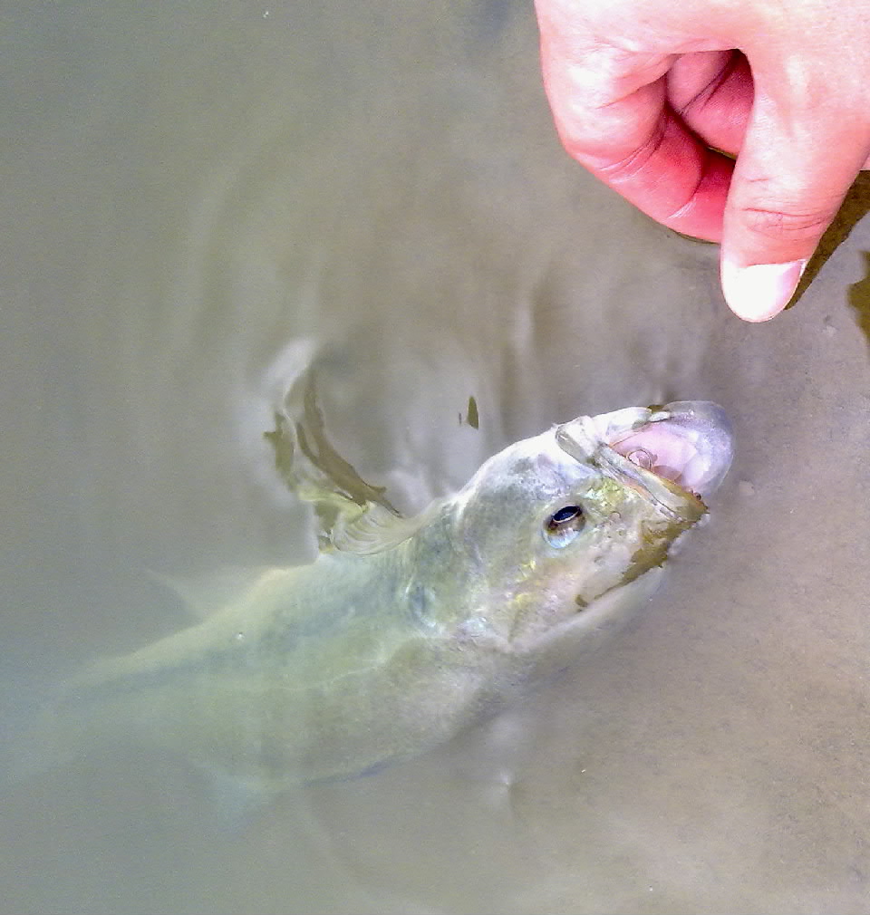 20120411884.jpg