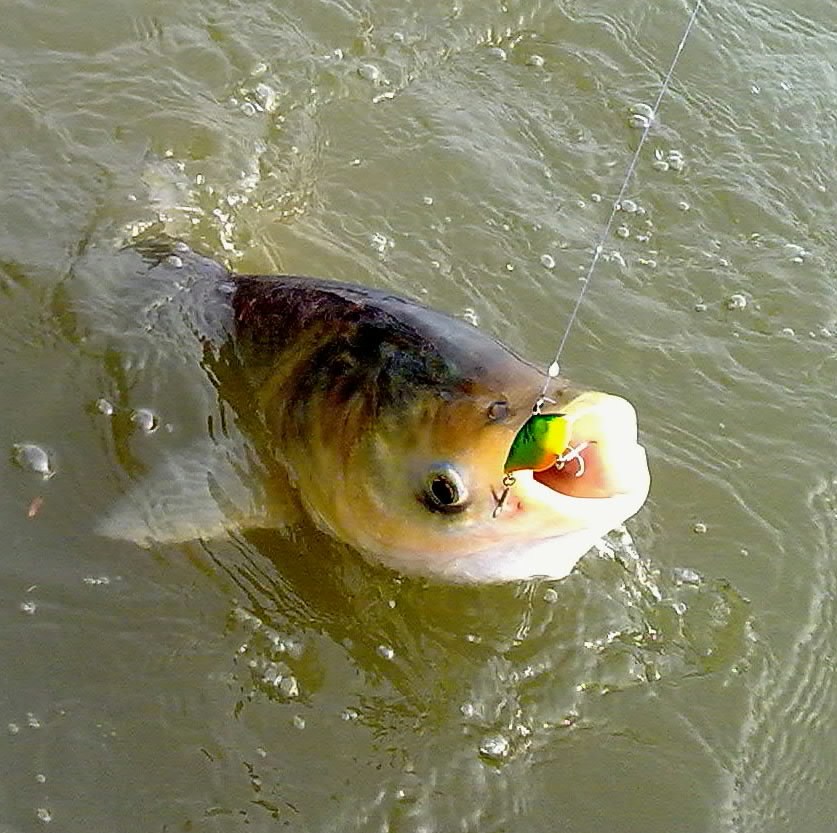 20120411885.jpg