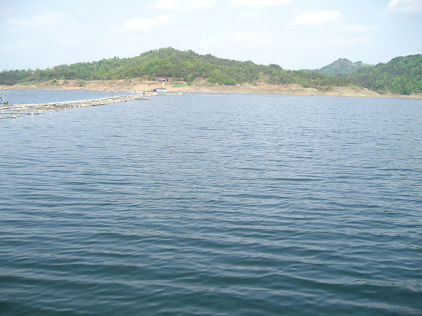 SANY4799_.jpg