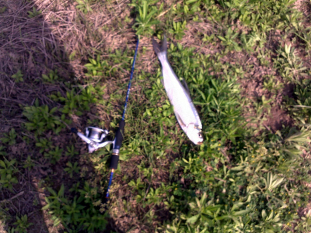 20120422048_.jpg