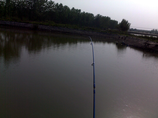 20120422049_.jpg