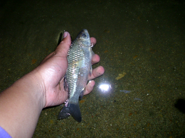 IMG_2033.JPG
