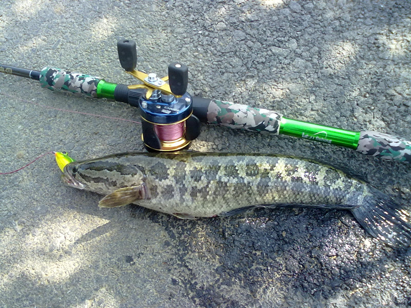 20120423193_.jpg