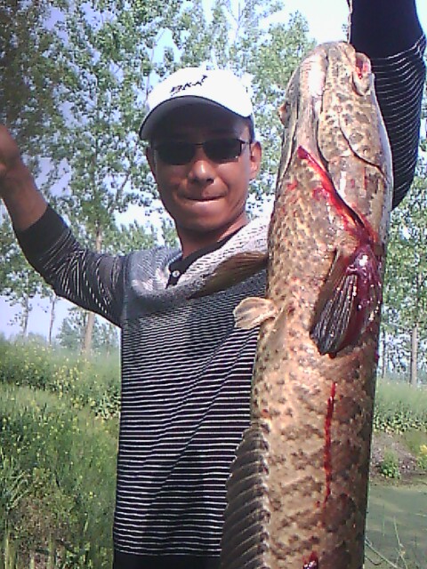 IMG00169.jpg