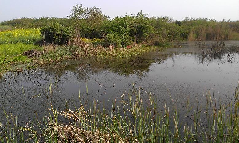 IMAG0164.jpg