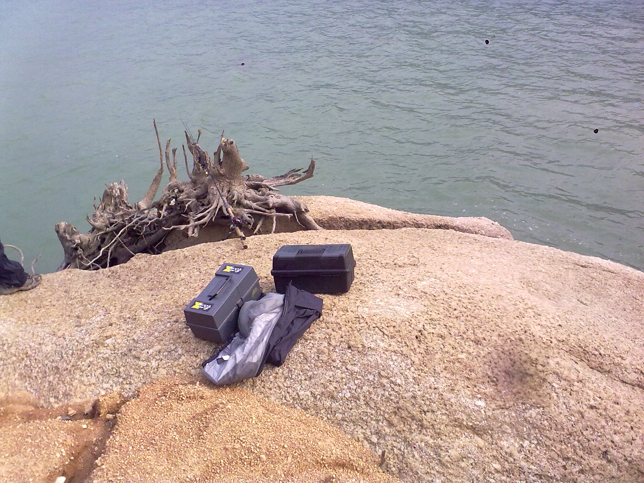 19.jpg