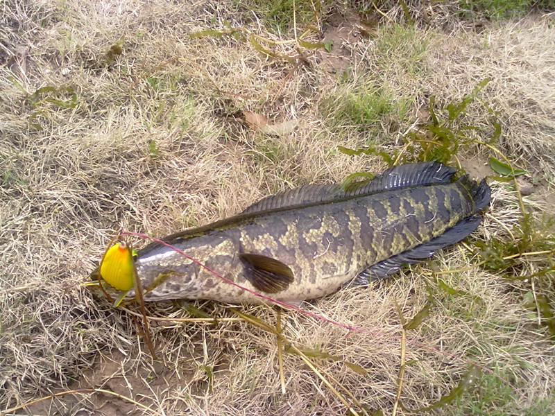 20120503196_.jpg
