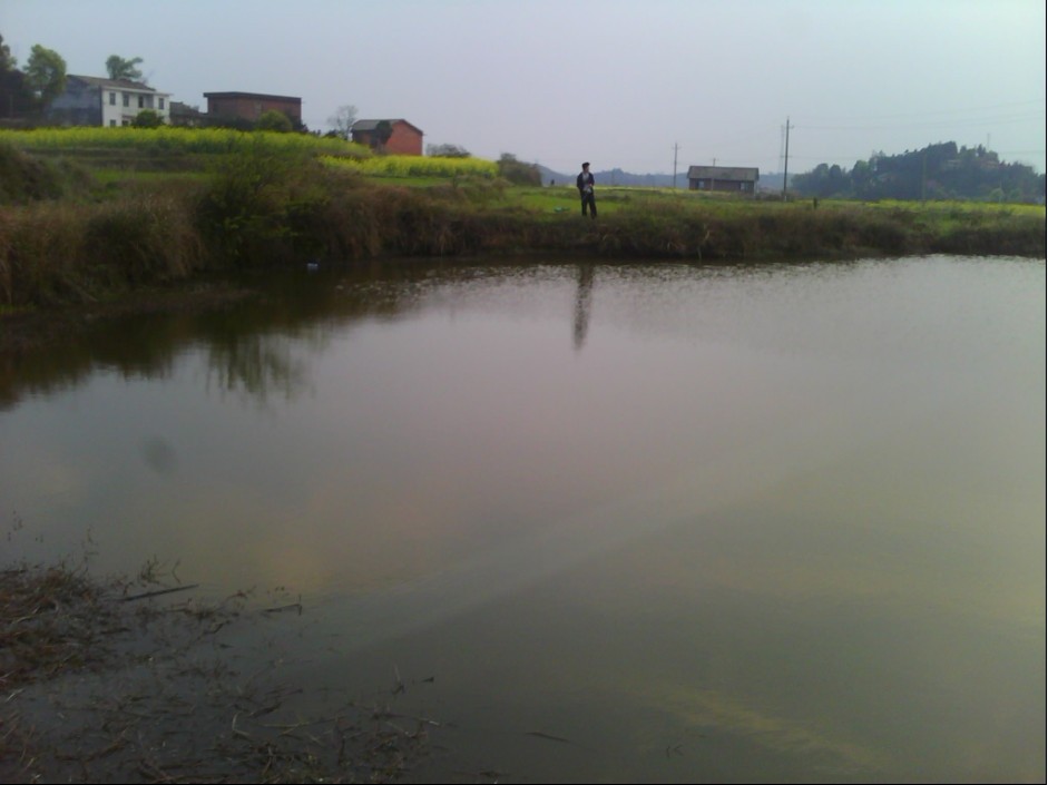 01.jpg