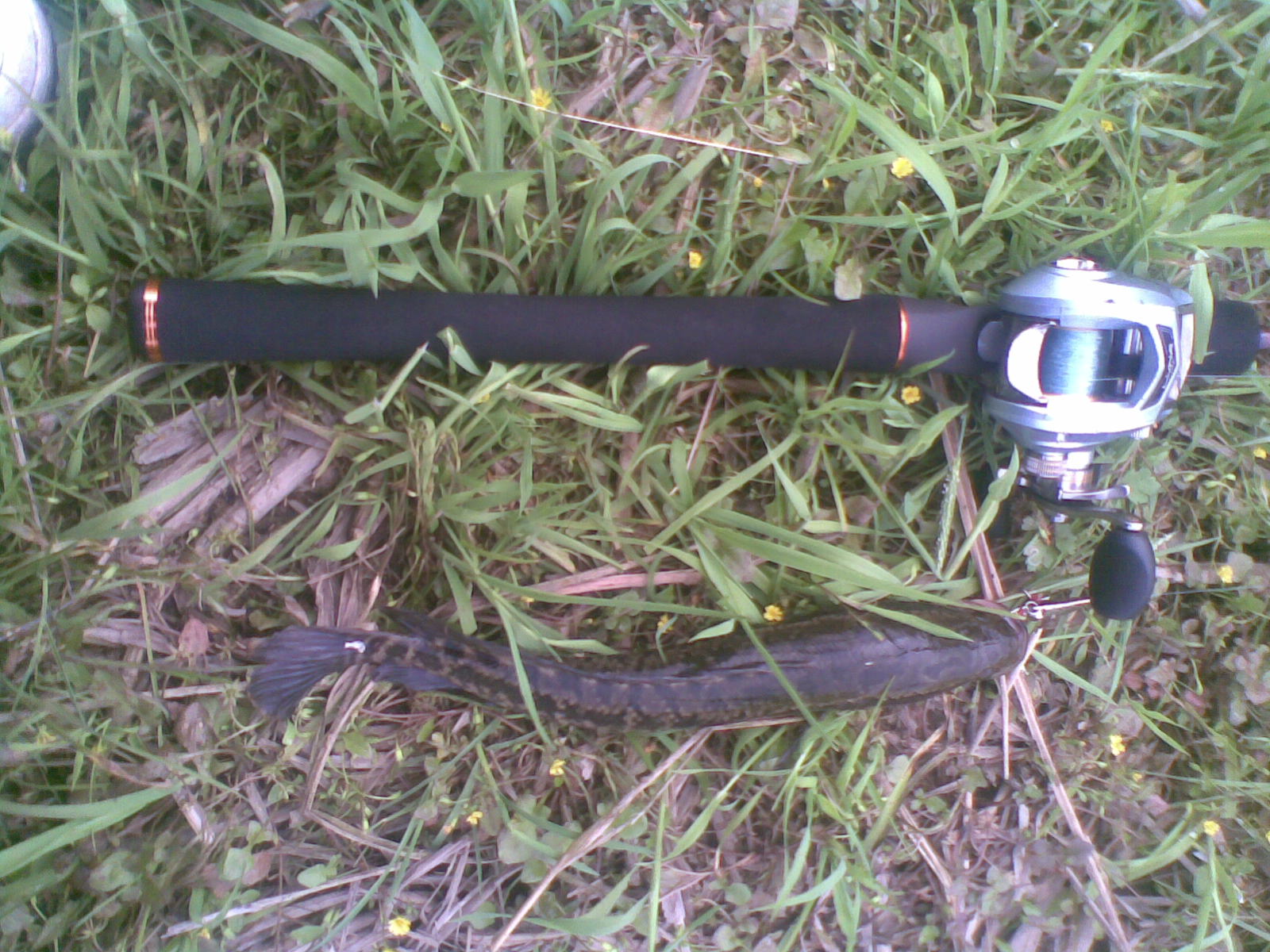 20120409(006).jpg