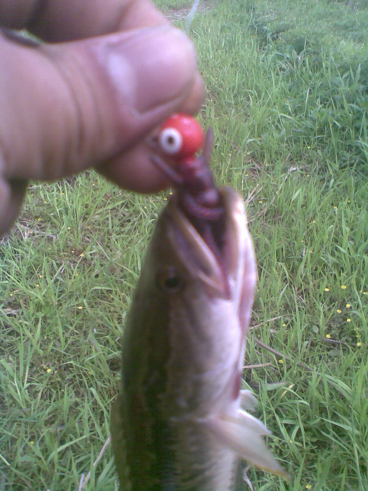 20120409.jpg