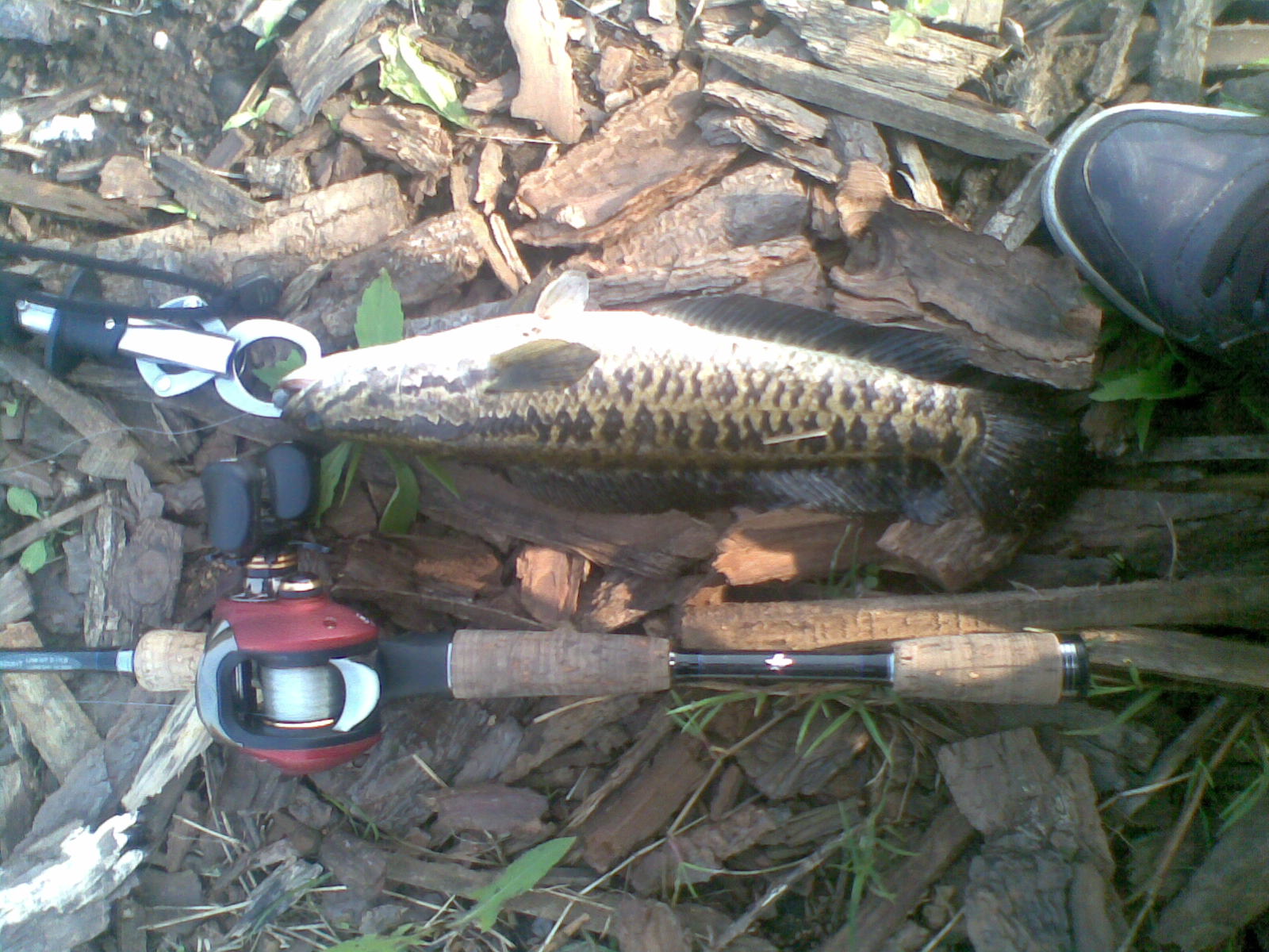 20120421(001).jpg