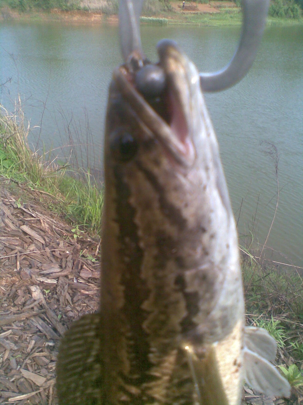 20120421.jpg