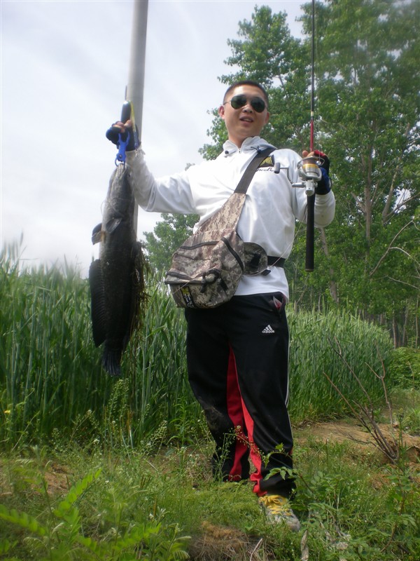 psb2.jpg