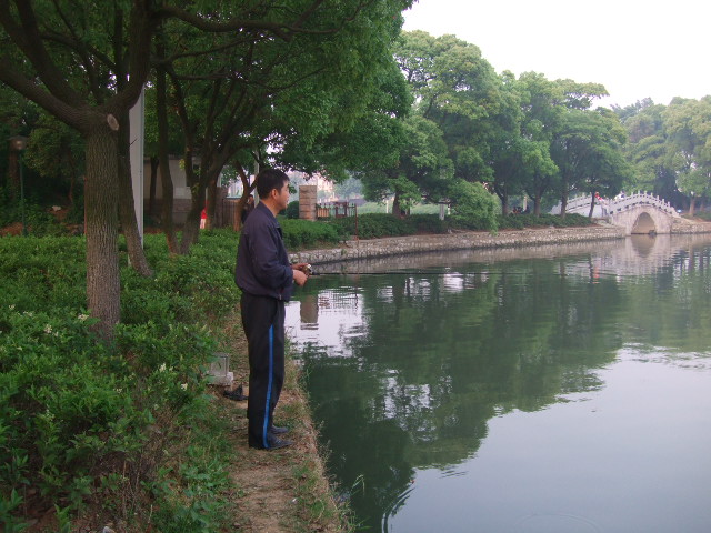 DSCF2031.JPG