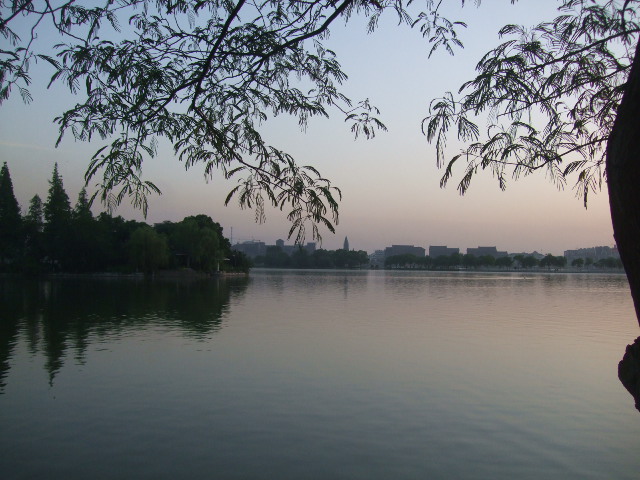 DSCF2252.JPG