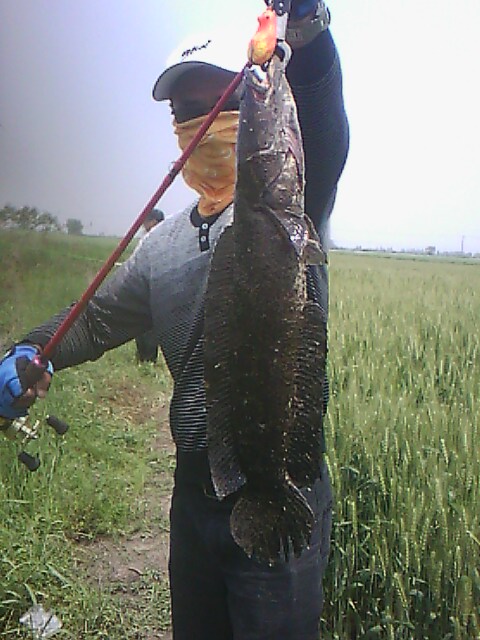IMG00180.jpg