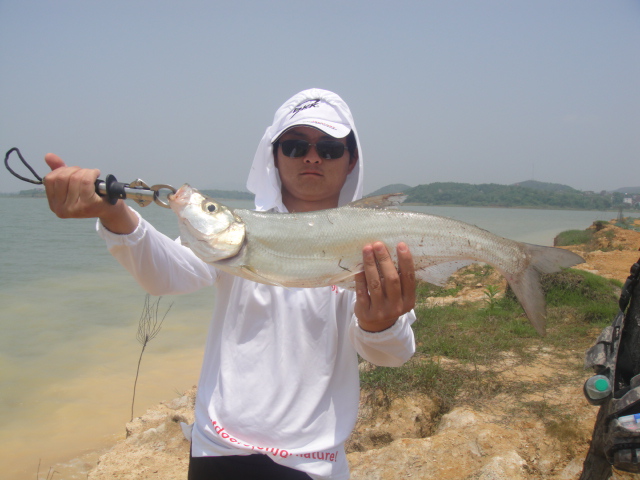DSC01246.JPG