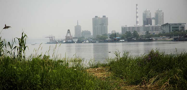 DSC_0161.JPG