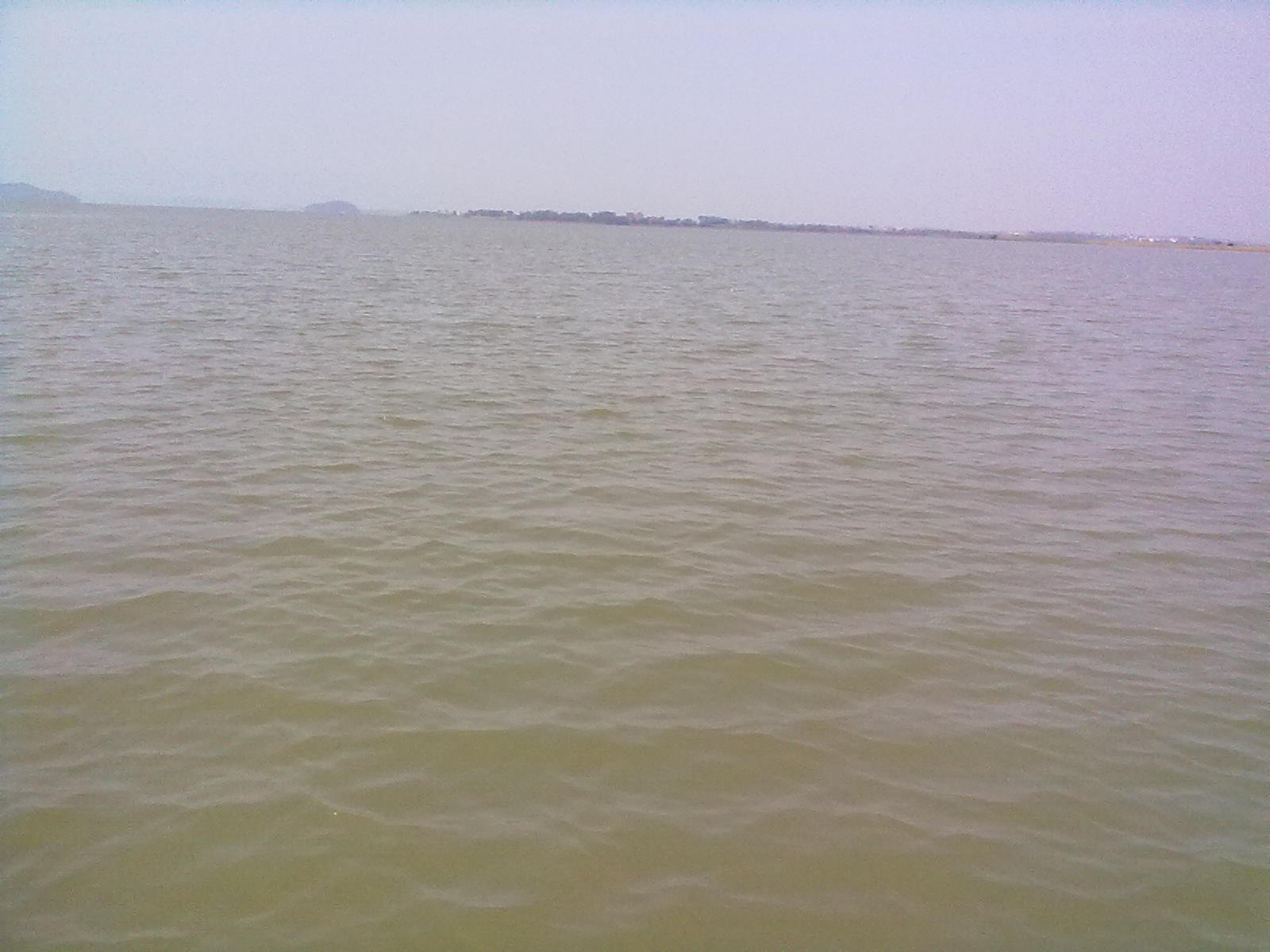 20120505957.jpg