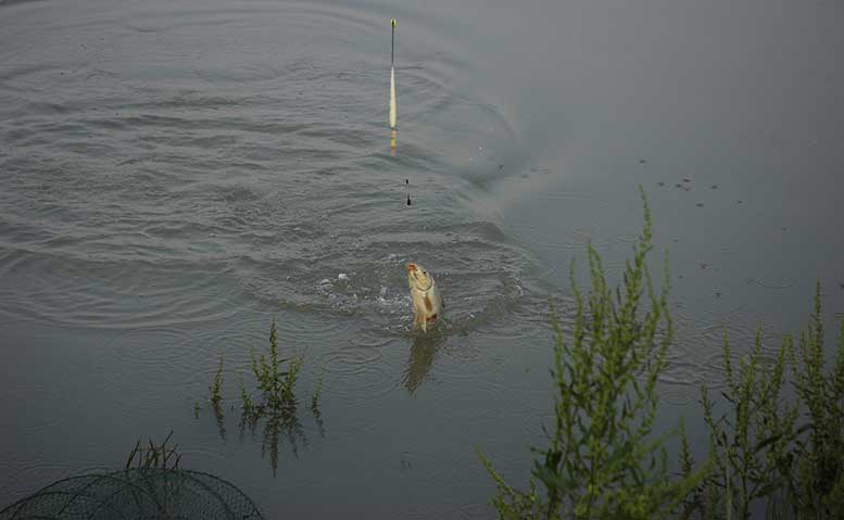 DSC_0192.JPG