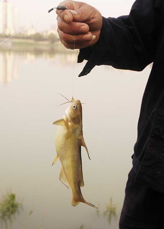 DSC_0217.JPG
