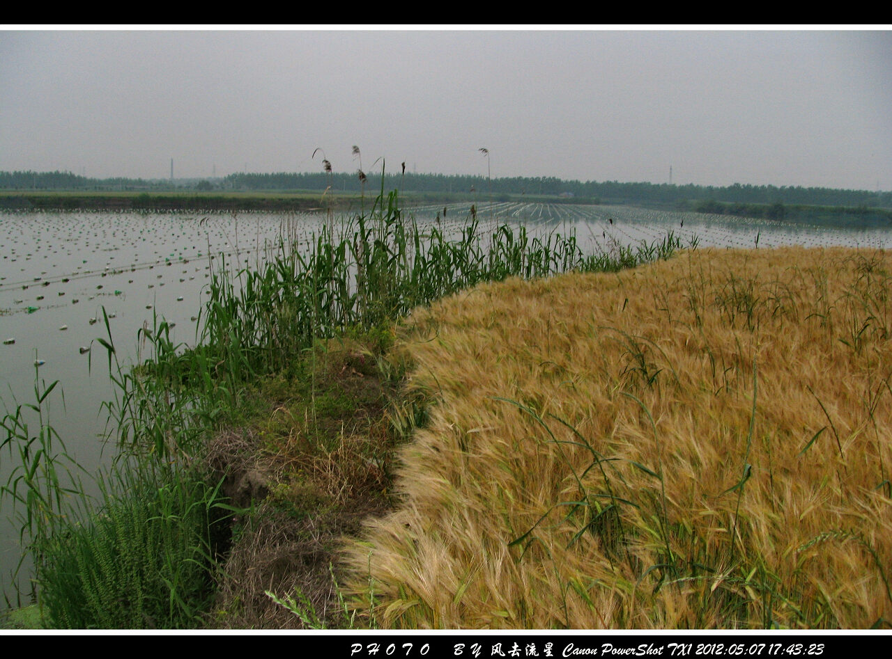IMG_0907A.jpg