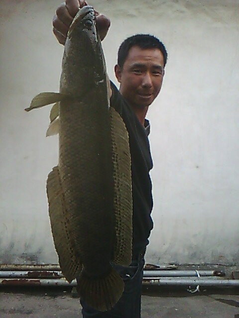 IMG00184.jpg
