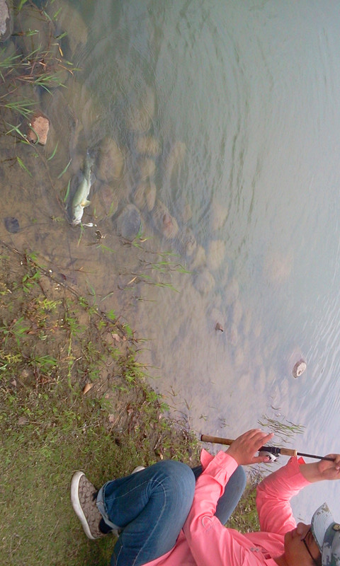 2012-05-09 13.28.54_.jpg
