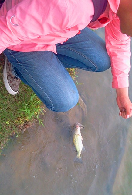 2012-05-09 17.34.14_.jpg