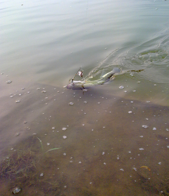 201205091119_.jpg