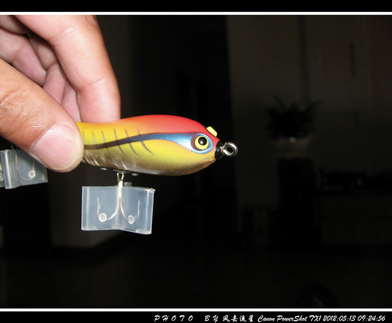 IMG_0933a.jpg